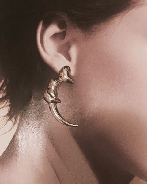 Horn earrings